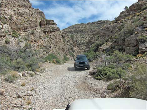 Virgin Peak Road