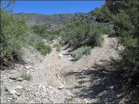 Virgin Peak Road