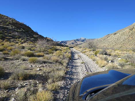 Virgin Peak Road