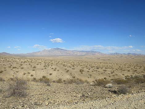 Virgin River Landing Road