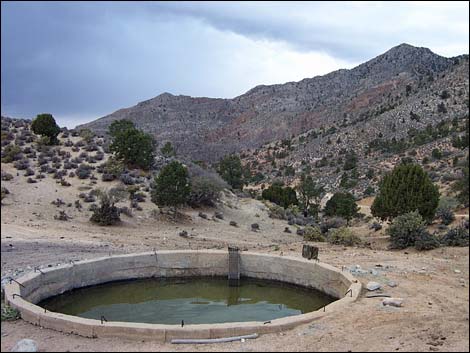 Whitney Pass Road