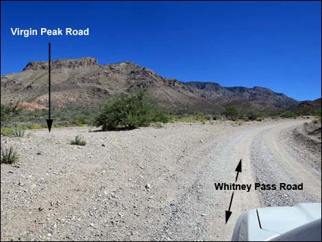 Whitney Pass Road