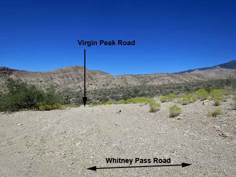 Whitney Pass Road