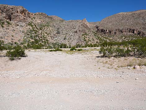 Whitney Pass Road