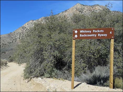 Whitney Pass Road