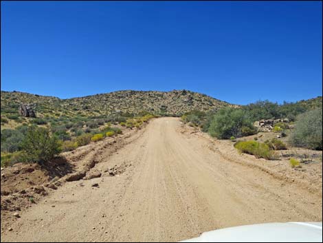 Whitney Pass Road