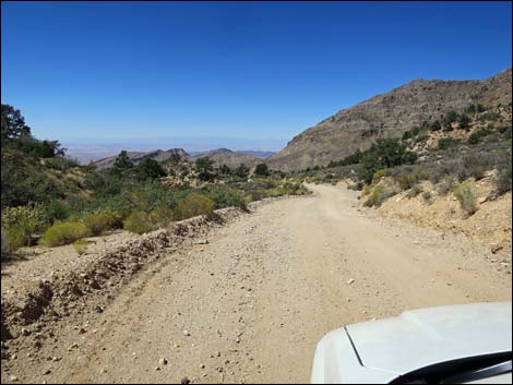 Whitney Pass Road