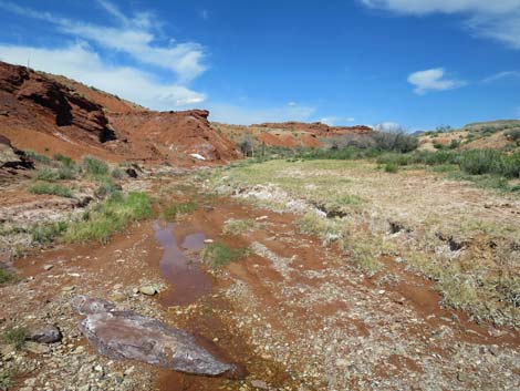 Red Rock Springs