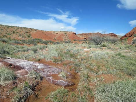 Red Rock Springs