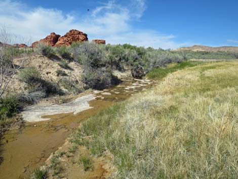 Red Rock Springs