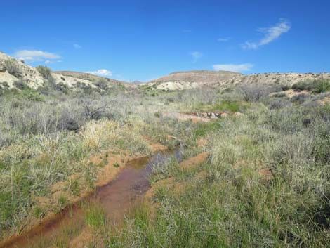 Red Rock Springs