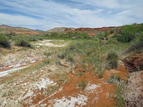 Red Rock Springs