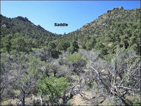 Shark Tooth Peak