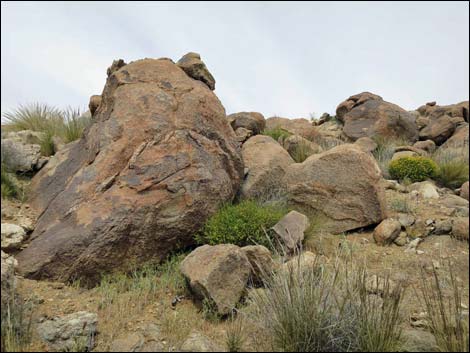 Shark Tooth Peak