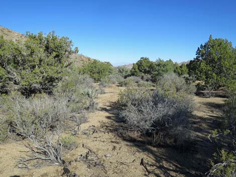 Shark Tooth Peak