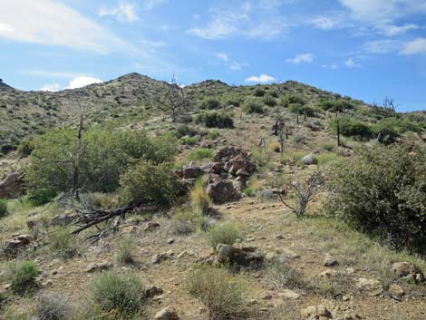 Summit Peak