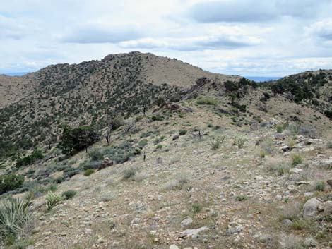 Summit Peak