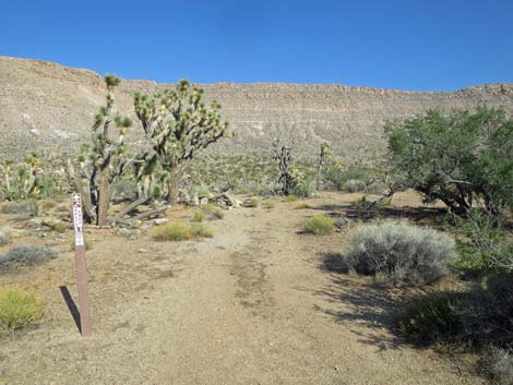 Uranium Mine