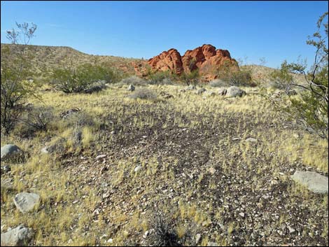 Whitney Pocket Overlook Trail