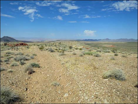 Whitney Pocket Overlook Trail