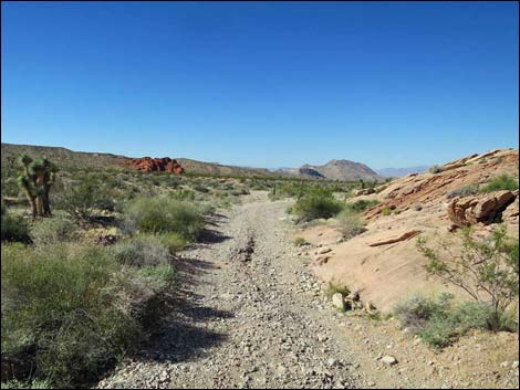 Whitney Pocket Overlook Trail