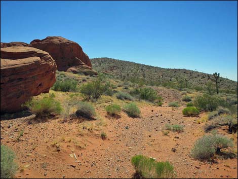 Whitney Pocket Overlook Trail