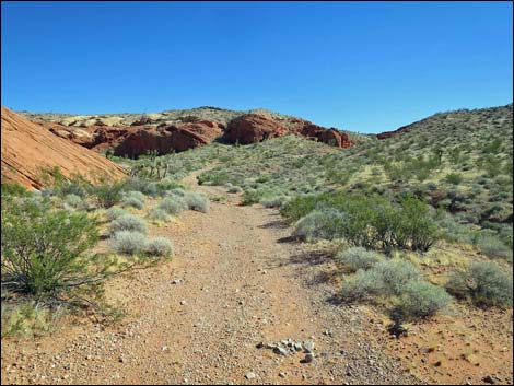 Whitney Pocket Overlook Trail