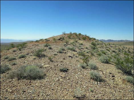 Whitney Pocket Overlook Trail