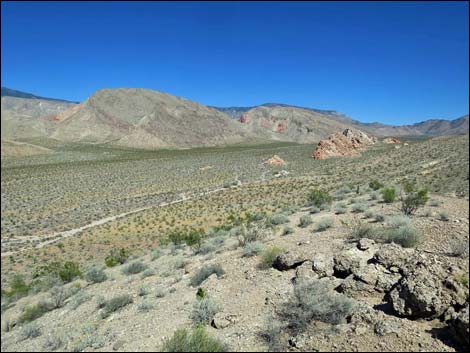 Whitney Pocket Overlook Trail