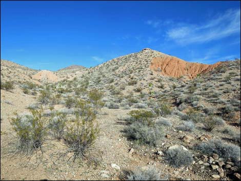 Wechech Basin Loop