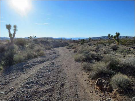 Wechech Basin Loop