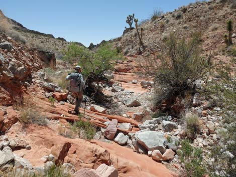 Whitney Wash