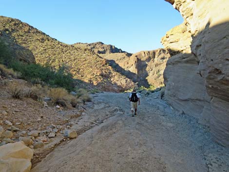 Arizona Hot Spring