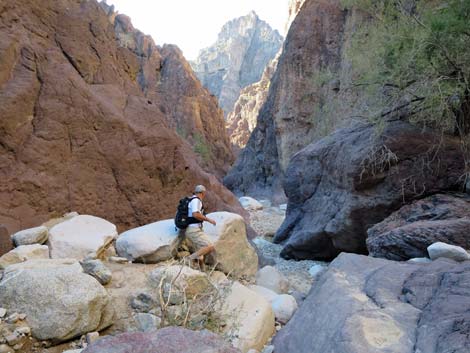 Arizona Hot Spring