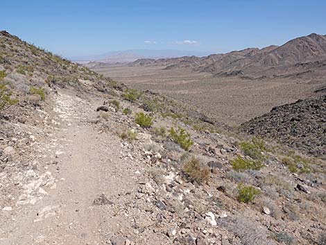 Black Mountain Overlook Trail