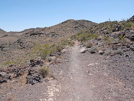 Black Mountain Overlook Trail