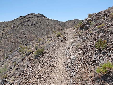 Black Mountain Overlook Trail