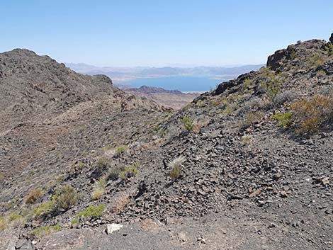 Black Mountain Overlook Trail