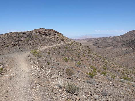 Black Mountain Overlook Trail