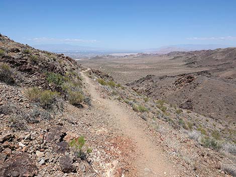 Black Mountain Overlook Trail