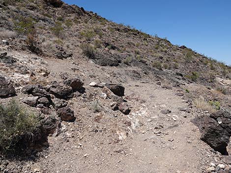 Black Mountain Overlook Trail