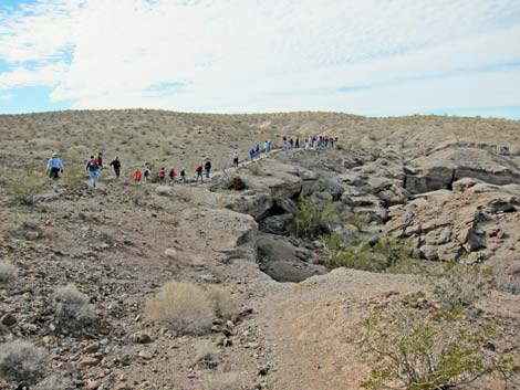 Bluff Trail