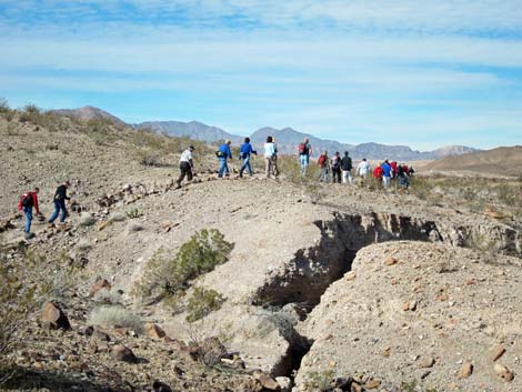 Bluff Trail