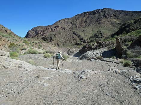 Boy Scout Canyon