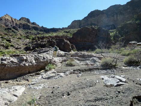 Colorado River Overlook