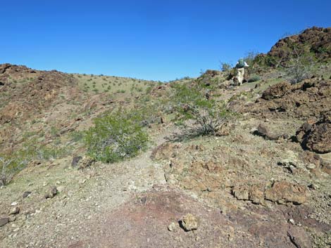 Colorado River Overlook