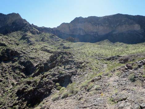 Colorado River Overlook