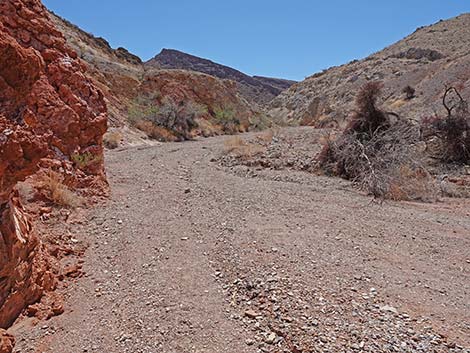 Cottonwood Spring