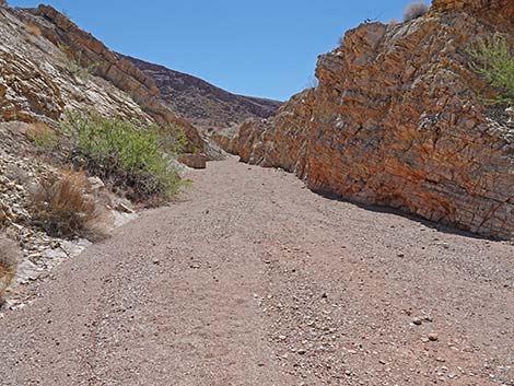 Cottonwood Spring