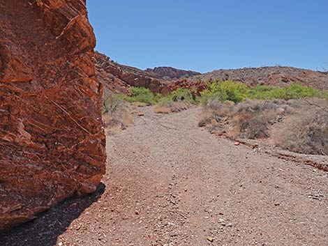 Cottonwood Spring